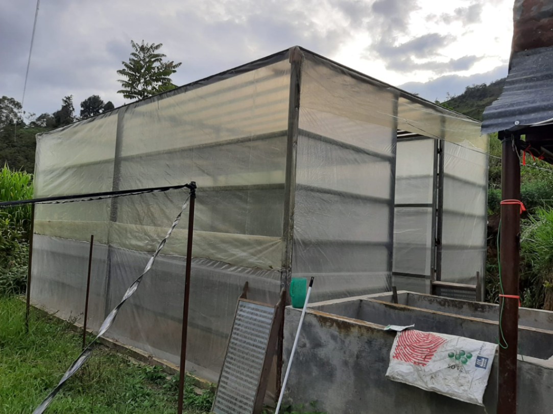 Tona, Santander, Colombia 3